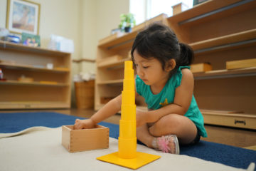 small kid learning block building game
